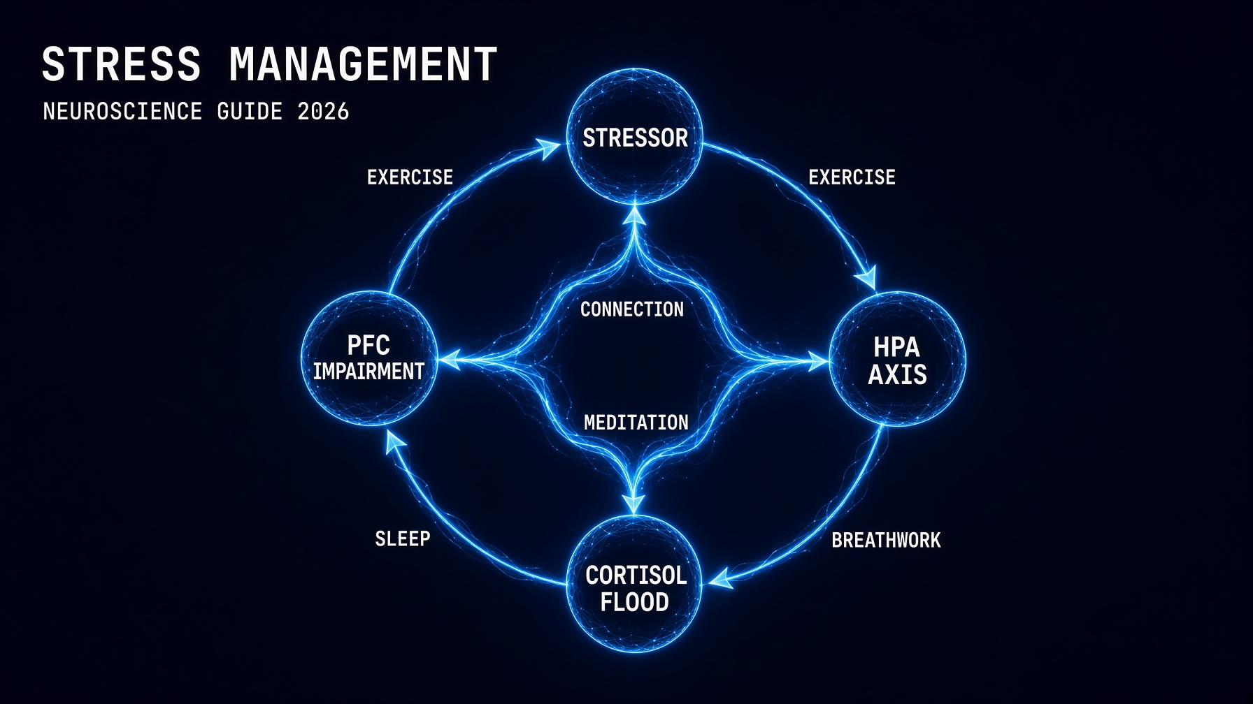 stress management builders complete neuroscience guide 2026