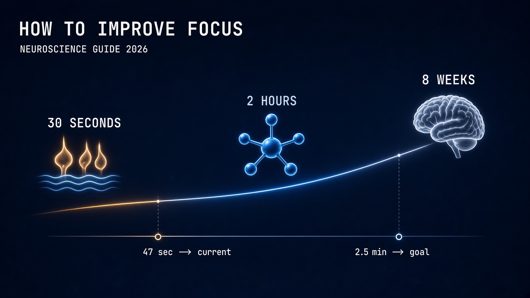 how to improve focus builders complete neuroscience guide 2026
